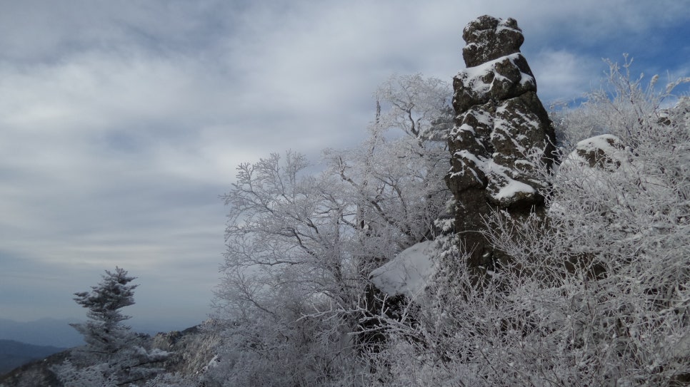 100대명산 등산하기 세번째 지리산(智異山) 은 대한민국을 대표하는 명산이자, 우리 민족의 정신이 깃든 산 남한의 최고 명산 천왕봉의 산