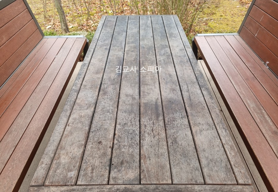 고양피크닉시민 공원 이용 후기 🏞️🌿&amp; 팁