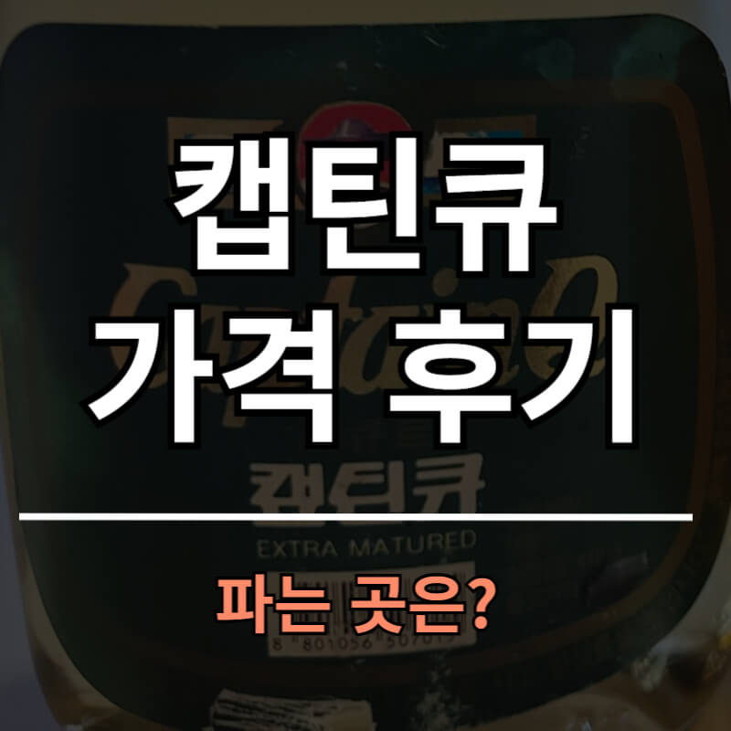 캡틴큐 가격 후기 판매처