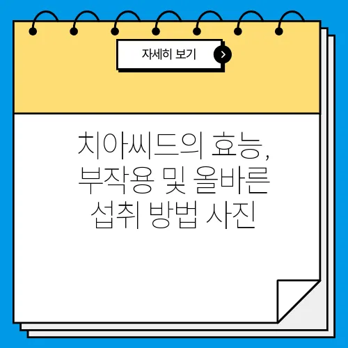 치아씨드의 효능, 부작용 및 올바른 섭취 방법 사진