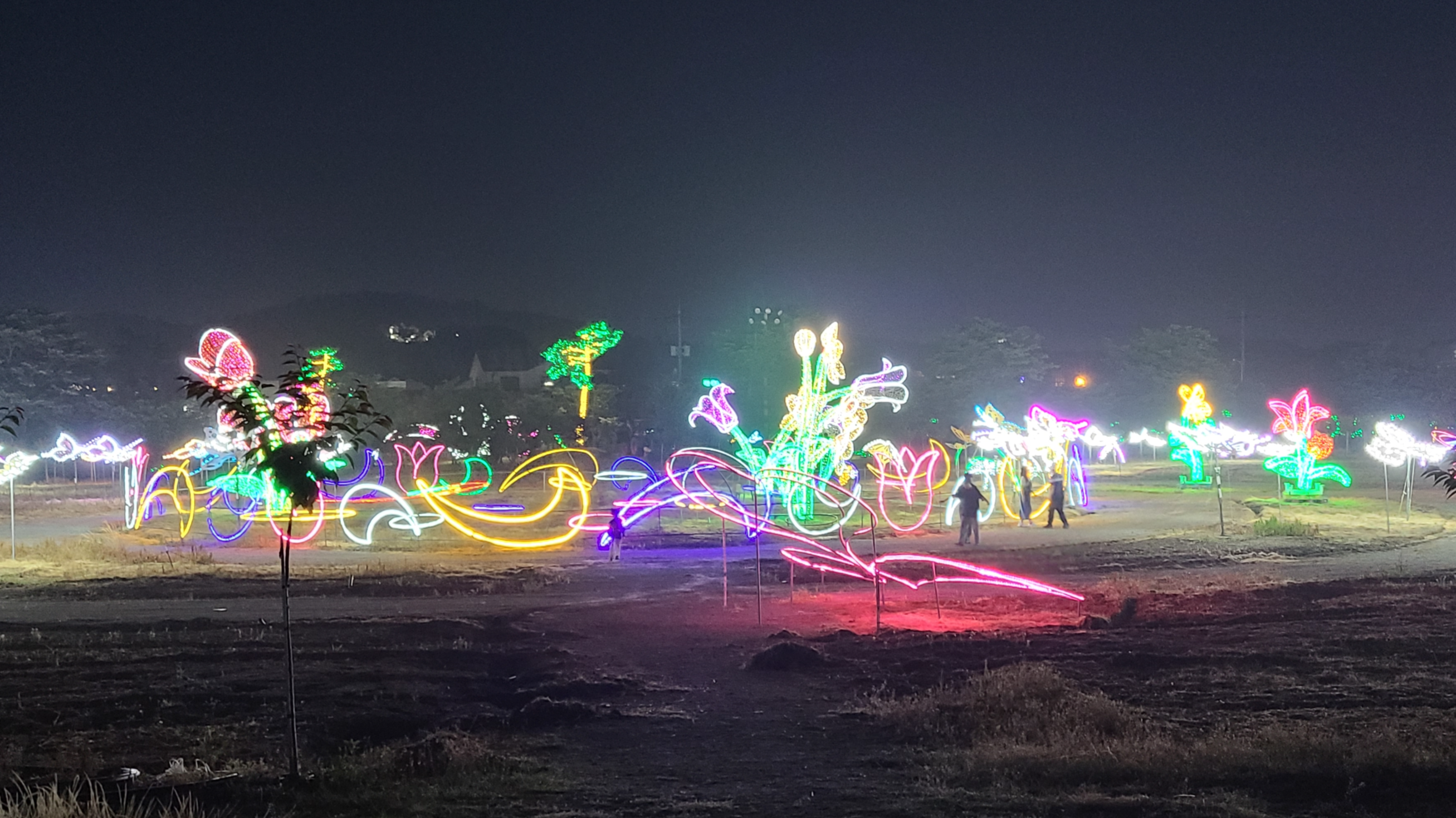 태안빛축제할인방법 태안별빛축제 태안불빛축제 태안애견동반 태안꽃축제 튤립축제 꽃박람회 태안할인