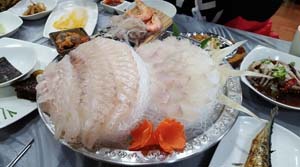 광어 우럭 활어횟감