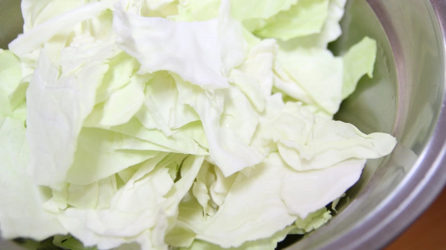 손질한 양배추