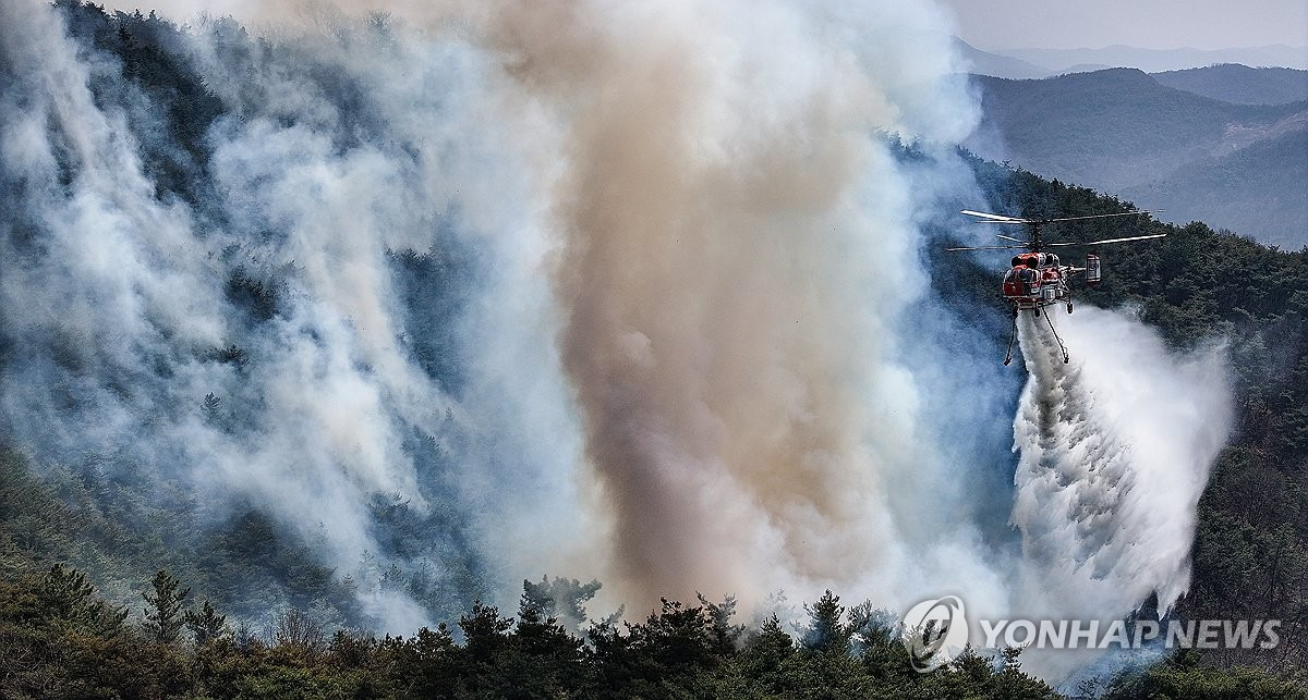 #경북산불 #의성산불 #산불진화 #자연재해 #산림청 #재난현황 #성묘객실화 #대피상황 #헬기투입 #강풍예보 #피해복구 #소방대응 #환경재난