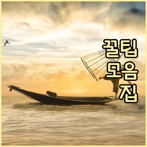 고지혈증 예방 가이드: 식단, 운동,