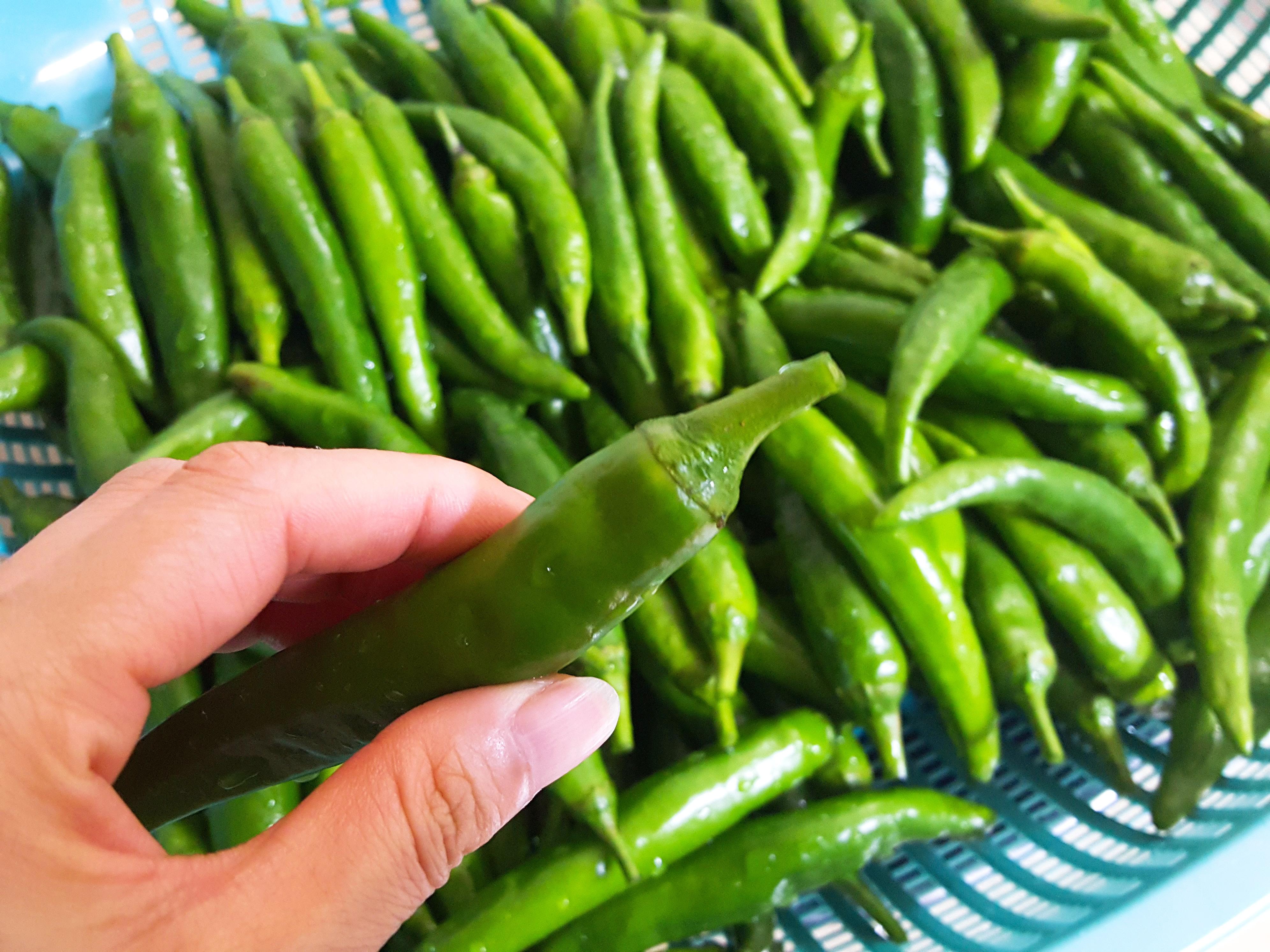 고추장아찌 만드는법, 아삭하고 알싸한 고추장아찌 비법