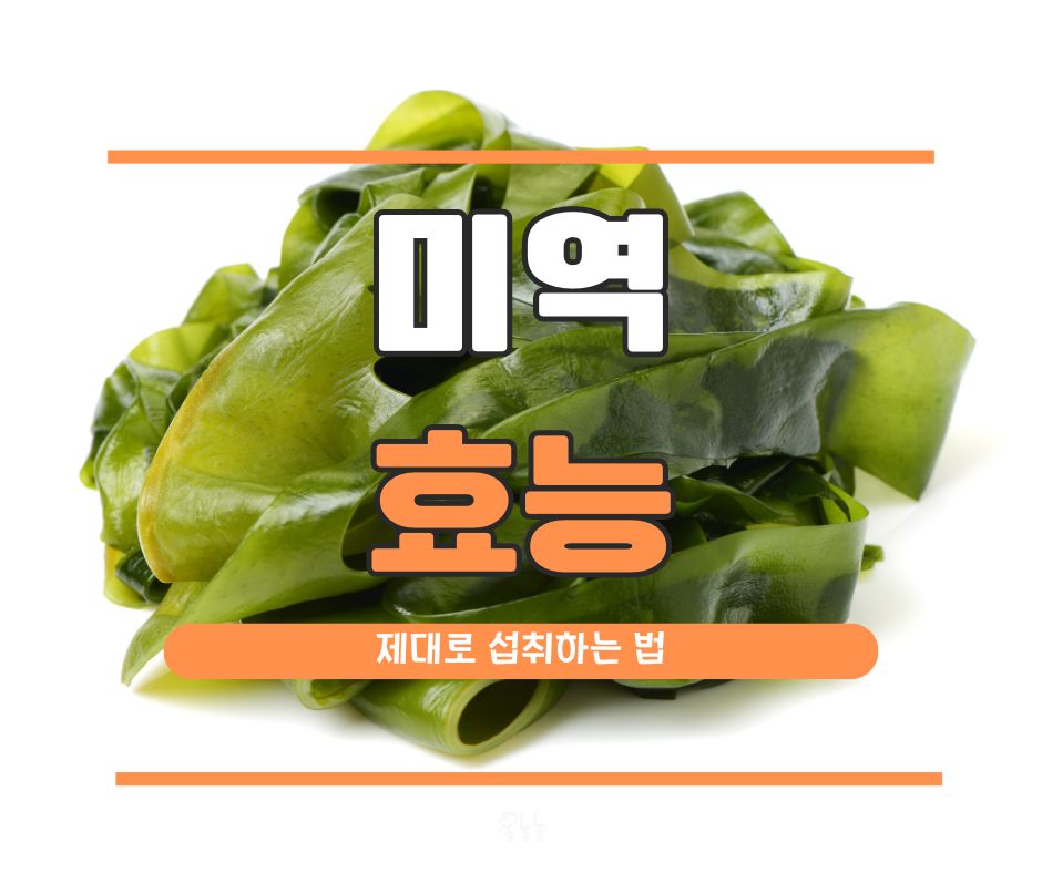 미역 효능