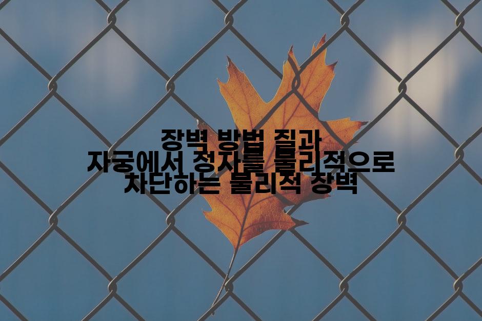 장벽 방법 질과 자궁에서 정자를 물리적으로 차단하는 물리적 장벽