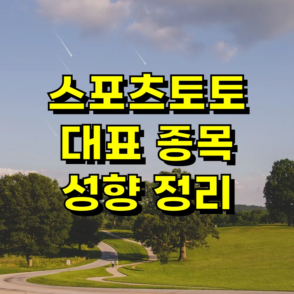 스포츠토토 대표 종목 성향 정리