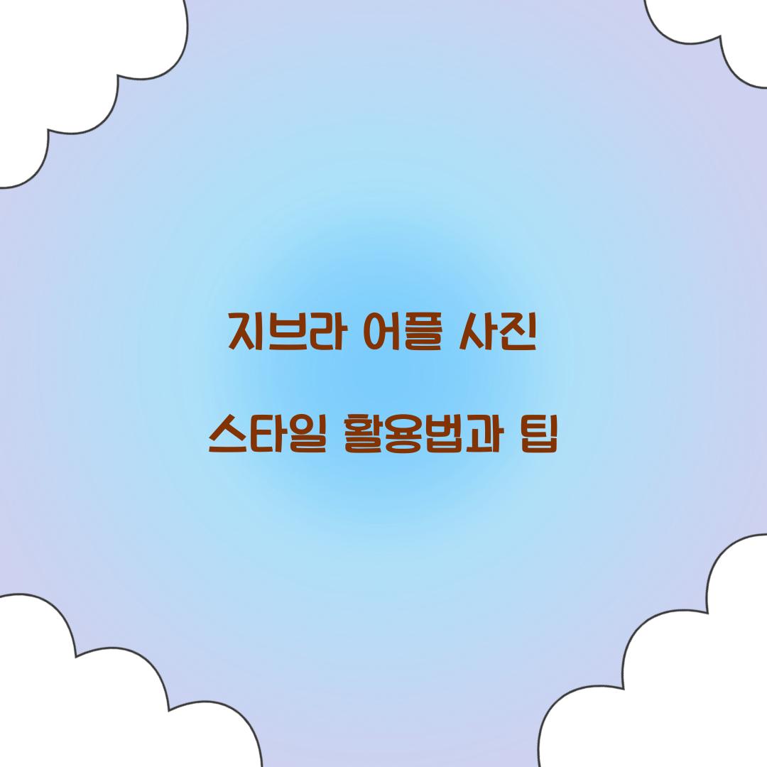 지브라 어플 사진 스타일