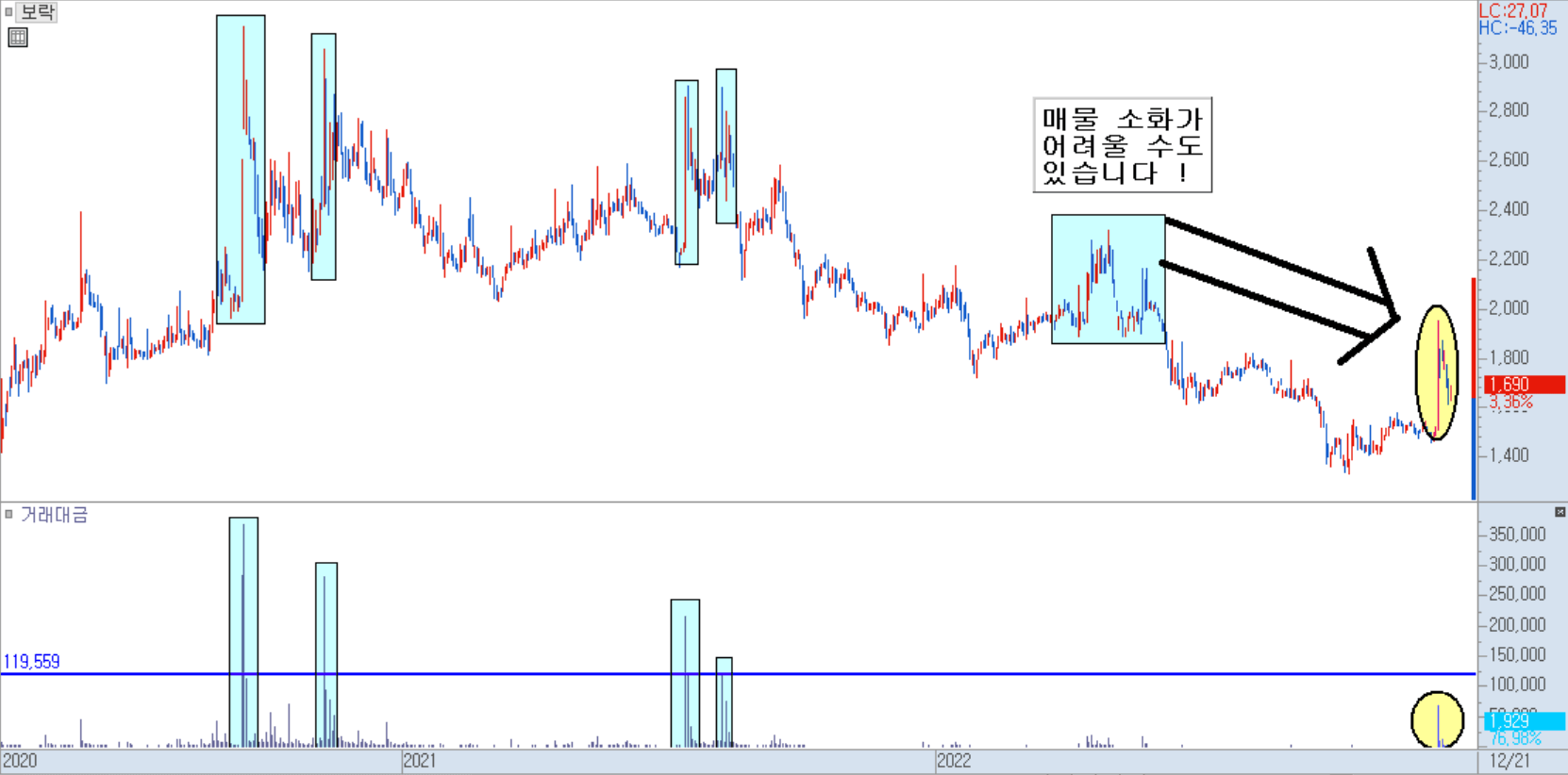 보락 현재 차트