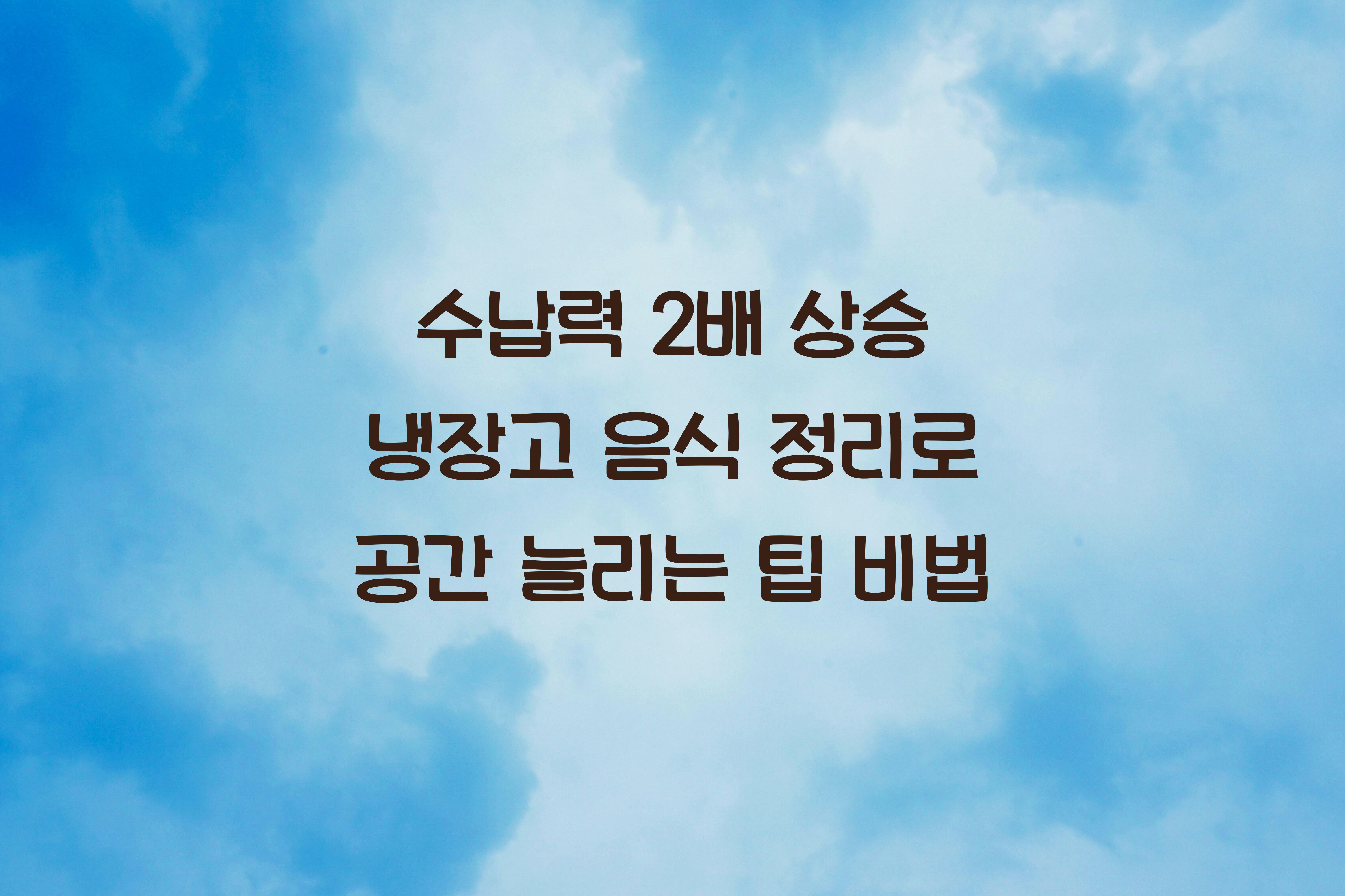 냉장고 음식 정리로 공간 늘리는 팁