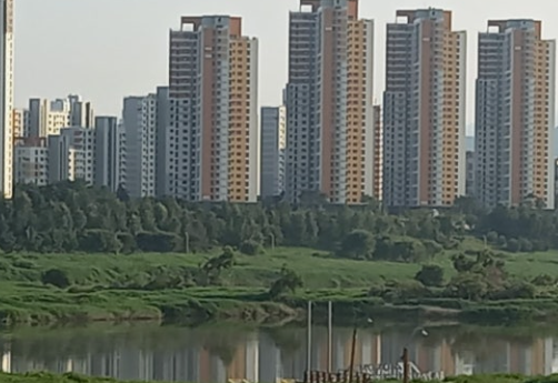 세종시 아파트 시세 가격 전망 리포트에 필요한 자료