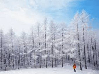겨울 여행지 추천