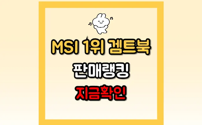 MSI 스워드 GF76 b13vfk212