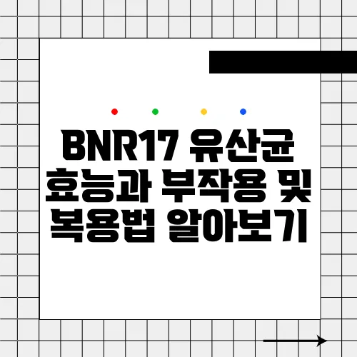 BNR17 유산균 효능과 부작용 및 복용법 알아보기