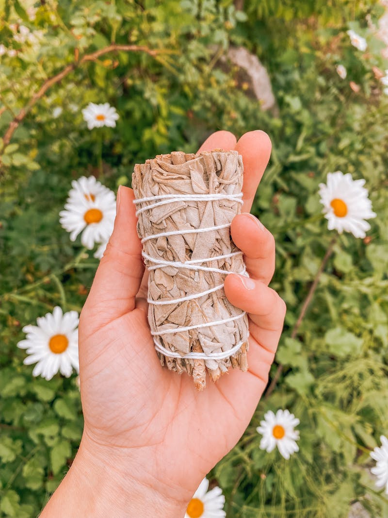 비건 디톡스 플랜: 몸과 마음을 정화하는 식단 설계