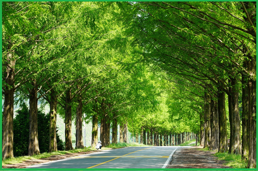 가습기-종류와-특징