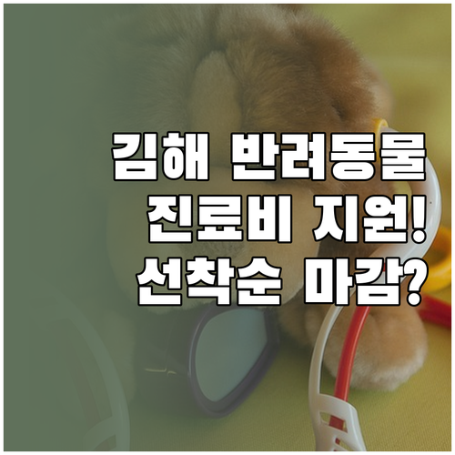 김해시 반려동물 진료비 지원 사업 공..