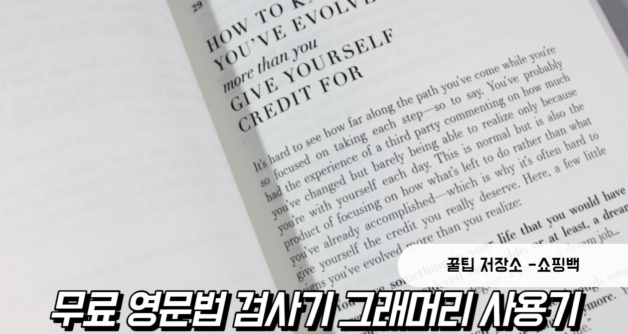 무료 영문법 검사기 그래머리 사용법