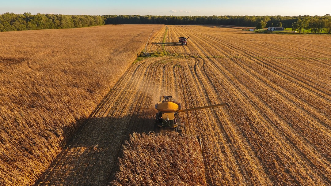 Harvest