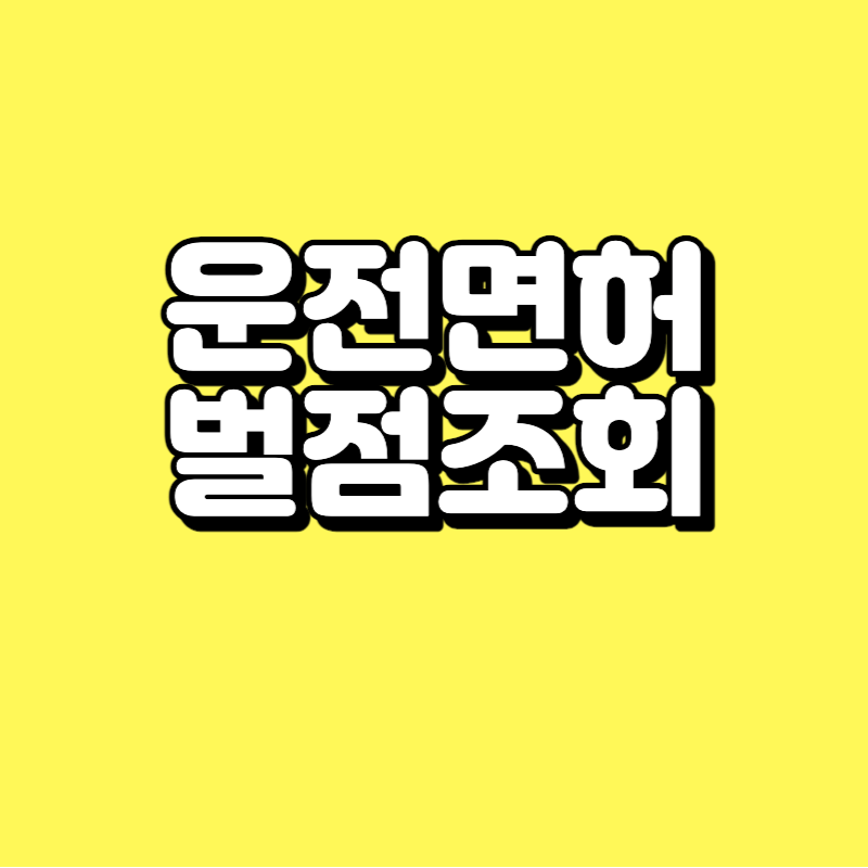 운전면허 벌점조회