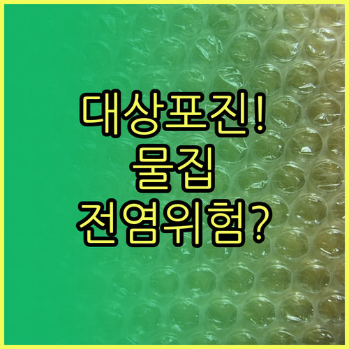 대상포진 물집 단계별 전염 가능성 분..