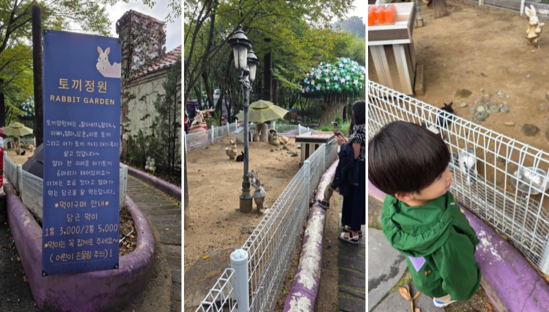 '청도 프로방스' 방문 후기