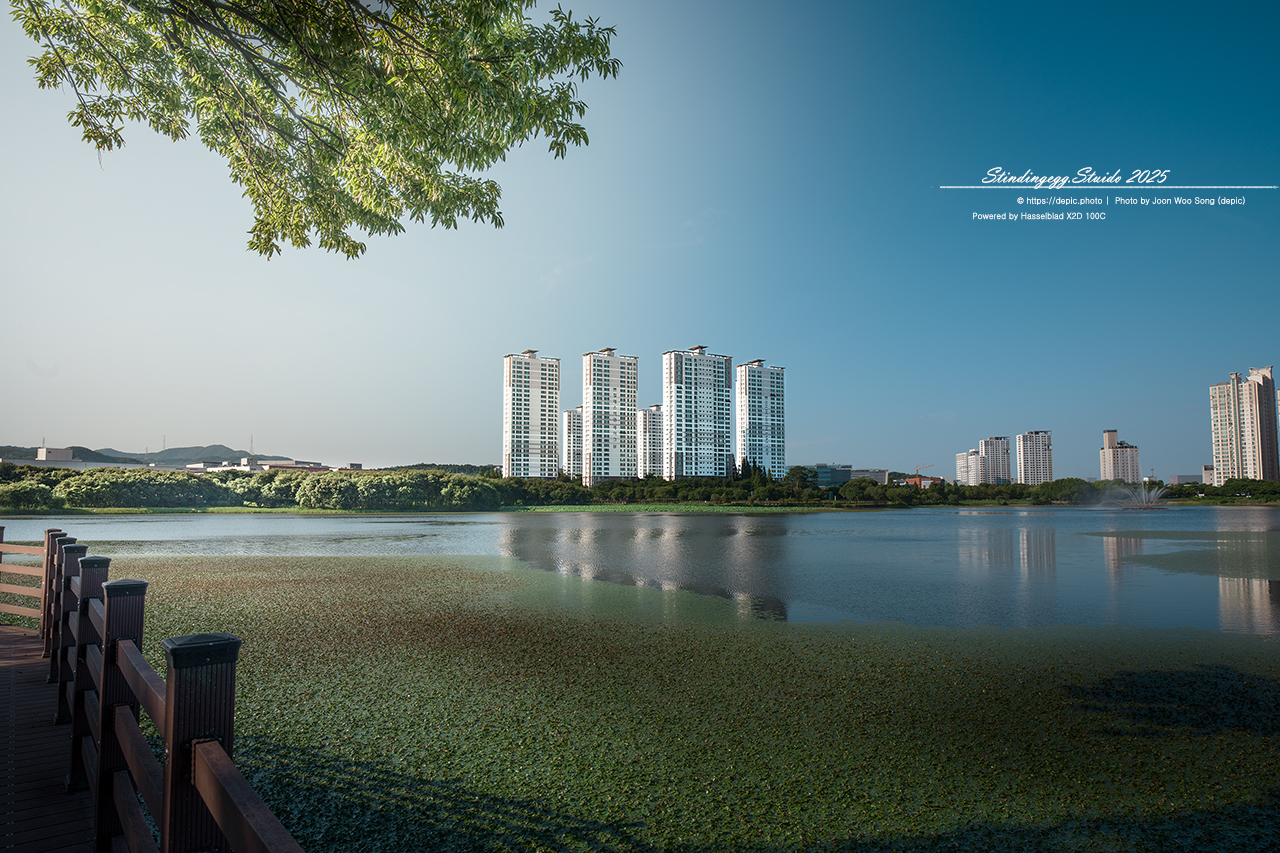 #청주 #오송 #호수 #공원 #아파트