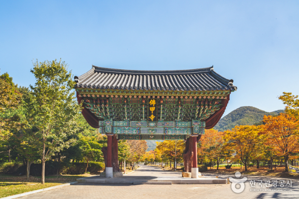 영광 가볼만한 곳
