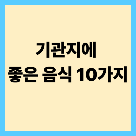 기관지에 좋은 음식 10가지