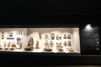 아이와 제주 여행 제주 민속 자연사박물관 예매 코스 가이드_20