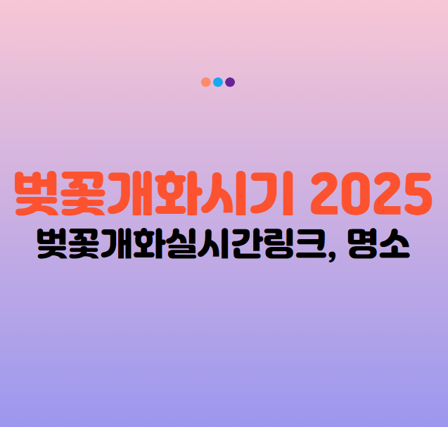 벚꽃 개화시기 2025, 일본 벚꽃 개화시기, 벚꽃 개화 실시간