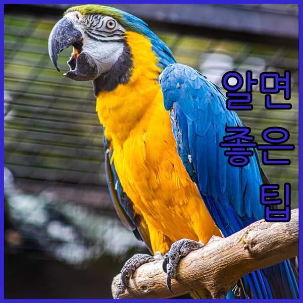 랑선 호텔 끝판왕 베스트3? 럭셔리부
