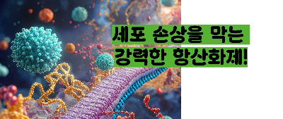 올리브오일 효능