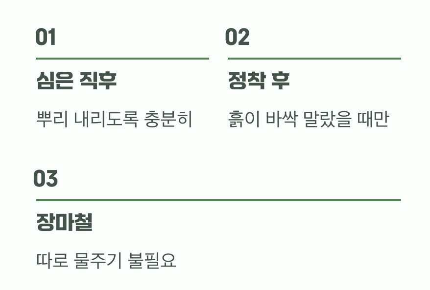 물은 아끼고 사랑은 듬뿍