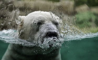파리기후협정 뜻