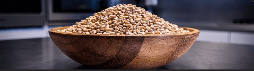 보리차 효능 부작용