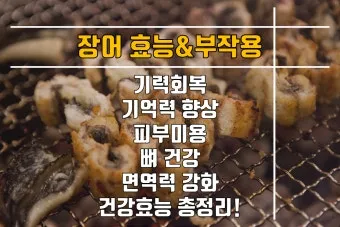 장어 효능 장어와 상극인 음식 건강 상식_18