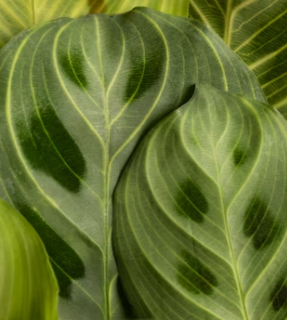 케이뱅크 아파트 담보대출 금리 한도