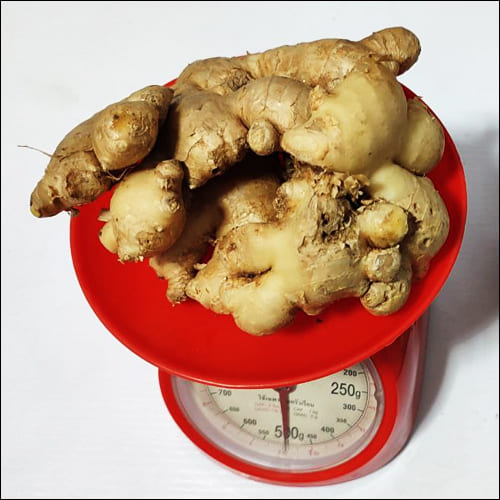 생강이 저울에 올라와 있는 모습