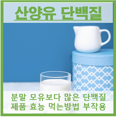 산양유 단백질 썸네일