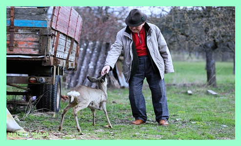 치매 초기증상 8가지 치매 초기증상자가진단법