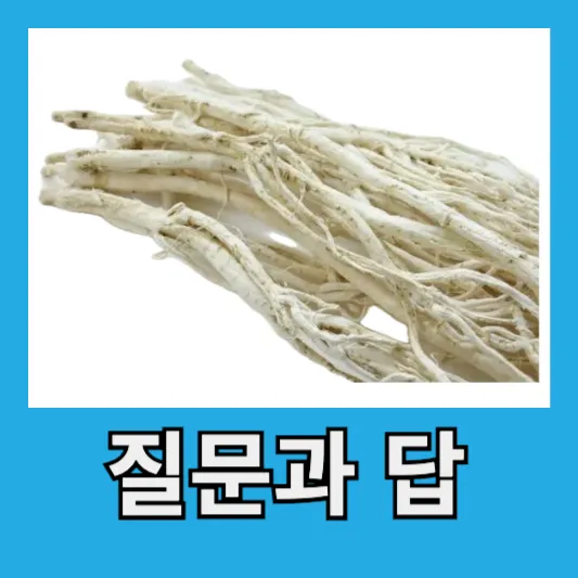 질문과 답