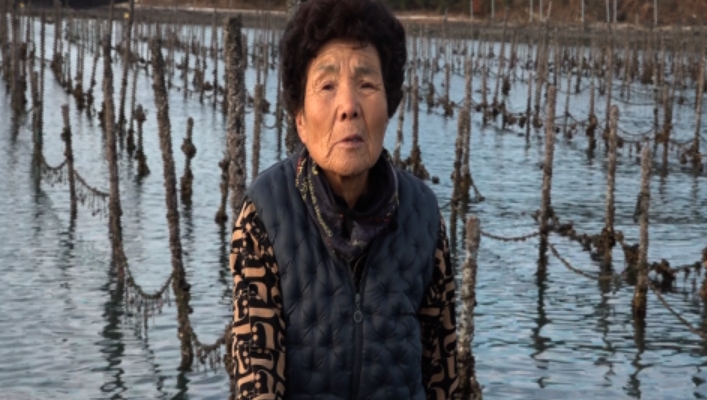 사노라면-서포-굴-낙지-주꾸미-양식장