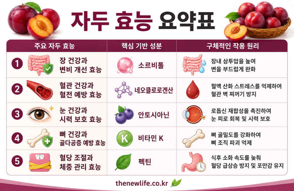자두 효능 요약표