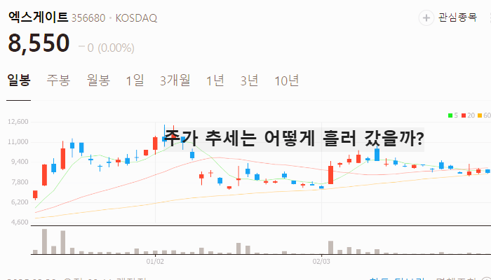 양자컴퓨터 관련주 대장주 테마주 TOP7 : 오셀롯