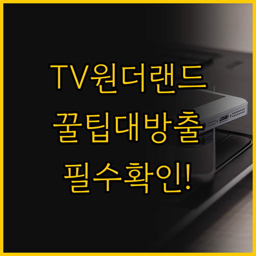 아무 데나 굴리는 TV의 재발견 이동..