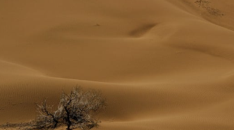 쳇지피티 무료 사용 홈페이지