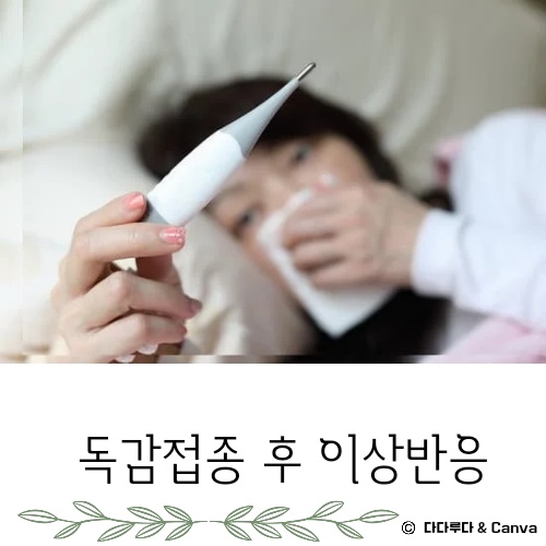 독감 접종후 증상 몸살 열 부으면 이상반응 생기면 신고